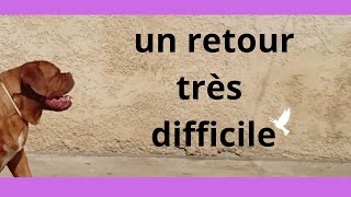 AMPUTEE / LE RETOUR À LA MAISON après 1 mois d'hospitalisation. Je suis sous le choc !