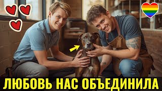 видео: Спор за собаку в приюте превратился в настоящую любовь картинка: Спор за собаку в приюте превратился в настоящую любовь