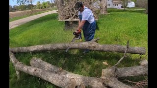 This is ONE way to get free wood for a firewood business.  Is it worth it? by Timber Visions 292 views 2 days ago 8 minutes, 6 seconds
