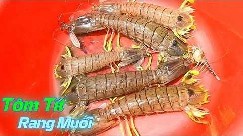 Tôm Tít Biển Siêu To | Gia Đình Cần Giờ |