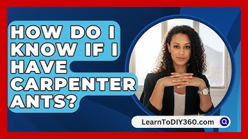 How Do I Know If I Have Carpenter Ants? - LearnToDIY360.com