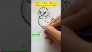 Tutorial De Dibujo Pollito Dkbza Dross Procreate