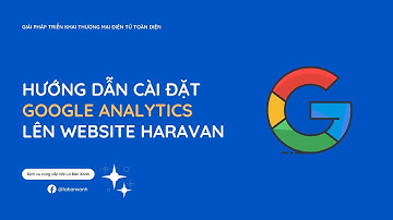 (MỚI NHẤT 2021) Hướng Dẫn Cài Đặt Google Analytics Lên Website Haravan