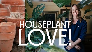 Houseplant LOVE! | The value in curating and caring for green spaces in the home...