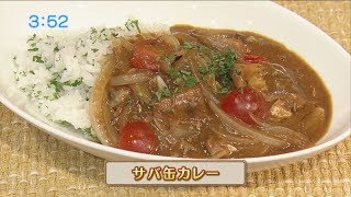 mmg さんまで健康 さば照焼き 各20缶 カレー缶 4種8缶 合計48点