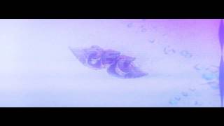 intro x Aec Month 5