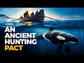 When Killer Whales and Humans Hunted Together