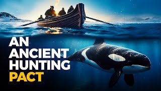 When Killer Whales and Humans Hunted Together by Real Science 203,322 views 2 months ago 11 minutes, 25 seconds
