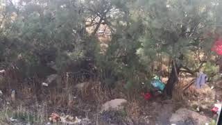 Ankara Otobanında Güpe Gündüz Fuhus Ankara Otobanında Güpe Gündüz Fuhus