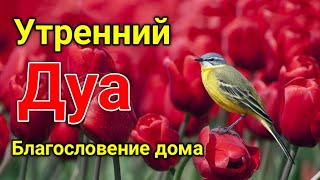 Утренний Дуа. Дуа Каждое Утро