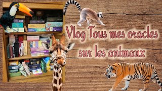 🐨🐼Vlog Tous mes oracles sur les animaux🐘🐰🦝🦁 screenshot 5