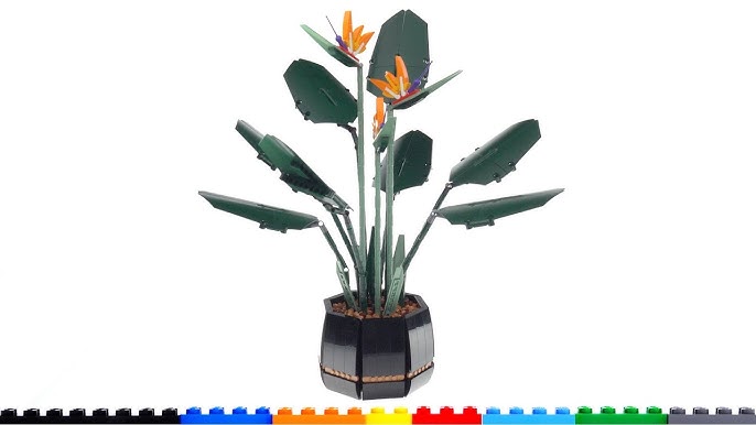 Bird of Paradise (LEGO 18+ Botanical Collection - 10289) - Review -  Brickonaute