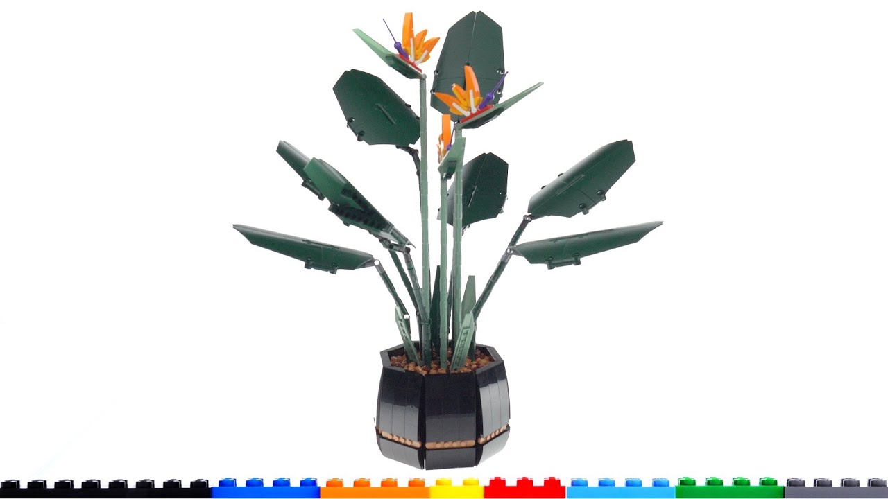 LEGO Bird of Paradise review! Delightfully realistic Botanicals