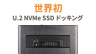 #shorts FlexiDOCK MB021VP-B | ICY DOCK U.2 NVMe PCIe4.0 SSD搭載用リムーバブルケース　3.5インチベイサイズ　トレイレスタイプ