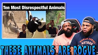 CLUTCH GONE ROGUE REACTS TOP 10 ANIMALS WITH BLACK AIR FORCE ENERGY