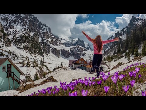 Video: Cum să depășești spectacolul?