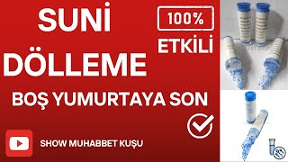 Muhabbet Kuşu Suni Tohumlama ( Suni Dölleme ) Garantili Yöntem Boş Yumurtaya Son Resimi