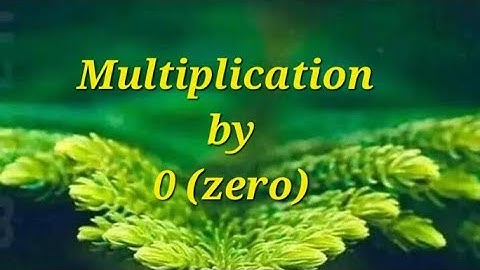Multiplication by 0 |rational numbers Class 8th|multiplication of rational numbers |Rational numbers