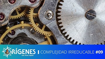 Complejidad Irreducible I ORÍGENES [TEMP 09 - EP 09]
