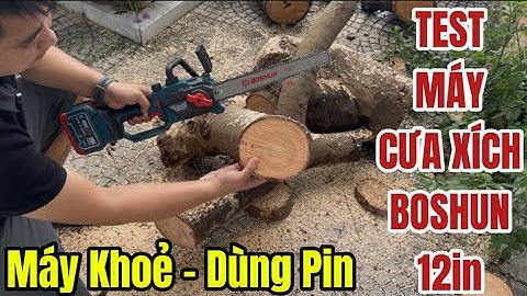 Test Thực Tế Cưa Xích Pin BOSHUN 12in Mẫu Mới Moto Lõi Đồng Không Chổi Than Bơm Nhớt Tự Động