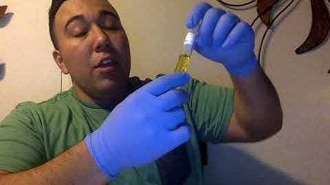 Biochemical Testing for Microbial Identification - Carbohydrate Fermentation Testing