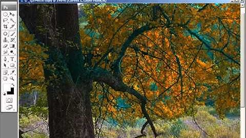 Image Enhancements Photoshop Tutorial by Bob Mizerek