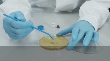 How to use BIOBALL® SINGLESHOT for on an agar plate?