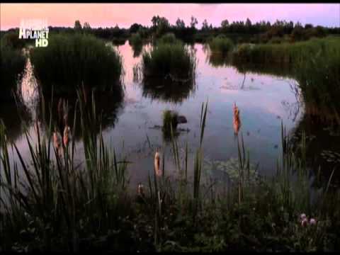 Beata Yundin porno kasting Orgazmda yalangoch