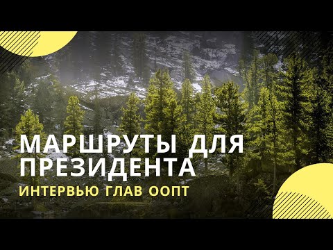 Туры для первого лица: где мог бы провести выходные президент России