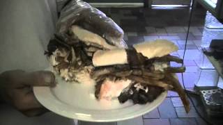 Jack's Deli - Sandusky Ohio Restaurants