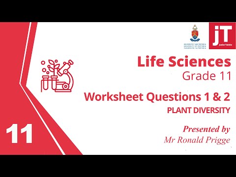 5   Gr 11 - Life Sciences - Plant Diversity - Questions 1 & 2