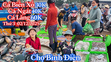 Chợ Bình Điền Sáng Thứ 3 - Cá Ngát Xổ 40K, Cá Biển 30K, Cá Lăng 60K, Cá Phi 30K | 02/12/2025 