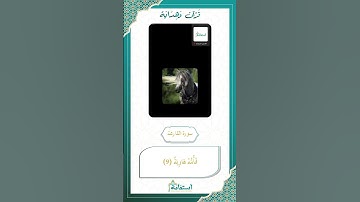سورة القارعة