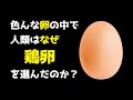 色んな卵の中で人類が鶏卵（けいらん）を選んだ理由。