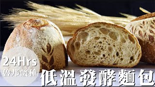 《不萊嗯的烘焙廚房》24小時低溫發酵麵包 | 24 Hours Freezer Fermentation Bread