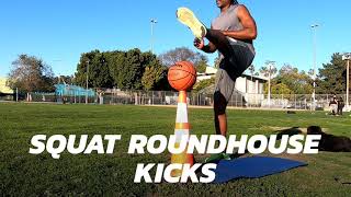 Squat Roundhouse Kicks, Toe Tap Push Up & Flutter Kick Skips