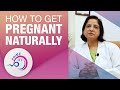 Steps to get pregnant naturally      prime ivf  best ivf hospital in gurgaon