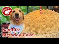 BAMBI'S BIRTHDAY CAKE