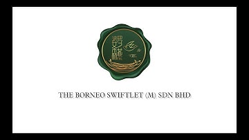 婆罗森燕 The Borneo Swiftlet Intro Video