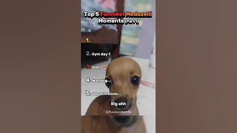 Ranking the Craziest Medazelli Moments 😳