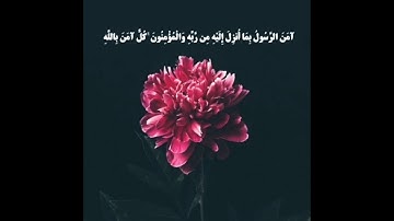 أواخر البقرة | القارئ صلاح باعثمان