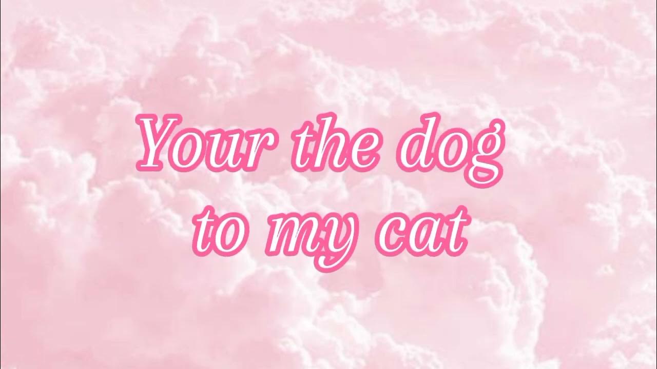 Your fault Lyrics Your fault Lyrics