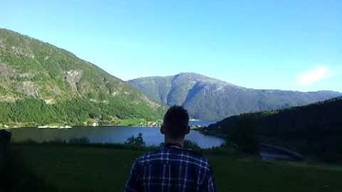 Trex 700e DFC V4 Crash