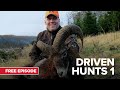 Driven Hunts | MyOutdoorTV | Free Episode