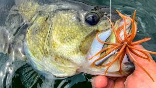 3 Deadly Finesse Baits That Catch Bass ALL YEAR (NONE of them look real...)