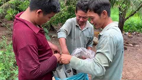 Cái lùm sậy bất ngờ dính cặp lươn cụ sống lâu năm về nướng mọi ăn quá đã | Cù Lao Dung Vlogs #420