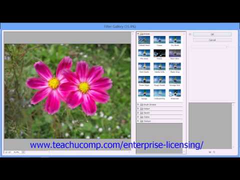 Adobe Photoshop Elements 12 Tutorial Manipulating Images Employee Group Training 13.9
