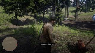 Rdr2 story