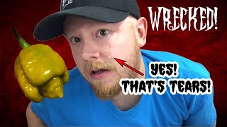 Wrecked By A 7 Pot Mustard Uk