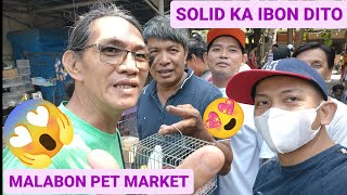 Vlog338 Solid Subscriber's Ni D4nuc Maraming Salamat Po Sa Inyong Lahat Happy Breeding Mga IdoL😍😱🦜🦜😊 by D4NUC  4VI4RY 2,018 views 1 month ago 23 minutes